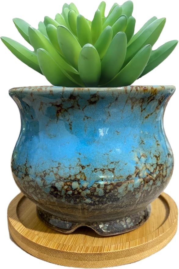 Cute Circular Ceramic Home Garden Decoration Succulent Cactus Flower Pots Container with Bamboo Tray -Plant Not Included (Blue, 3.94 Inch)