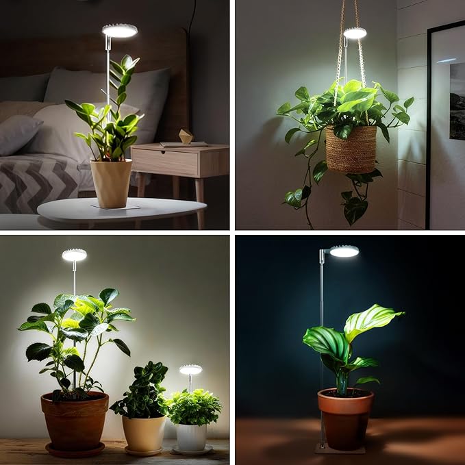 12W Stake & Desktop Grow Light for Indoor Growing,12W Grow Light with Stake High PPFD,Full Spectrum Desk Growth Lamp with Automatic Timer,4 Dimmable Levels,Height Adjustable 25"-68"（White