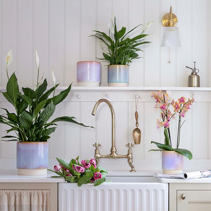 Ivyline Copenhagen Two Tone Planter in Aqua - Waterproof & Stylish - Contemporary Indoor Earthenware Flower Pot with Glazed Finish - H14cm x D13.5cm