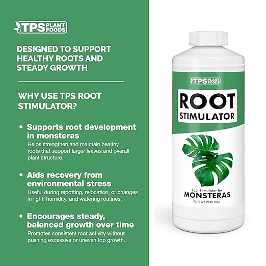 Root Stimulator for Monstera – Liquid Root Supplement with Kelp & Probiotics for Stronger Roots & Bigger Leaves, 8 oz