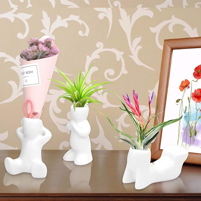 Together-life 4 Pack Ceramic Air Plant Holder, Cute Air Planter Table Top Display Planters for DIY Planting Home Office Decoration Supplies