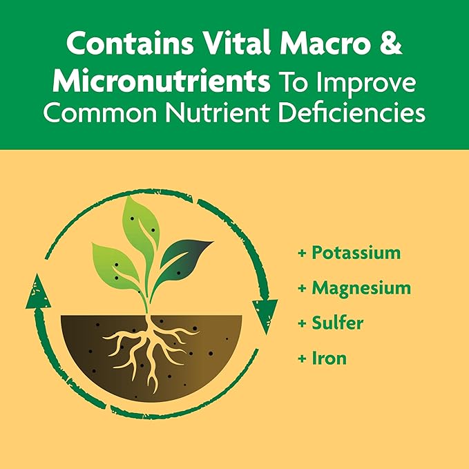 MG 4.5LB Citr/Avoc Food