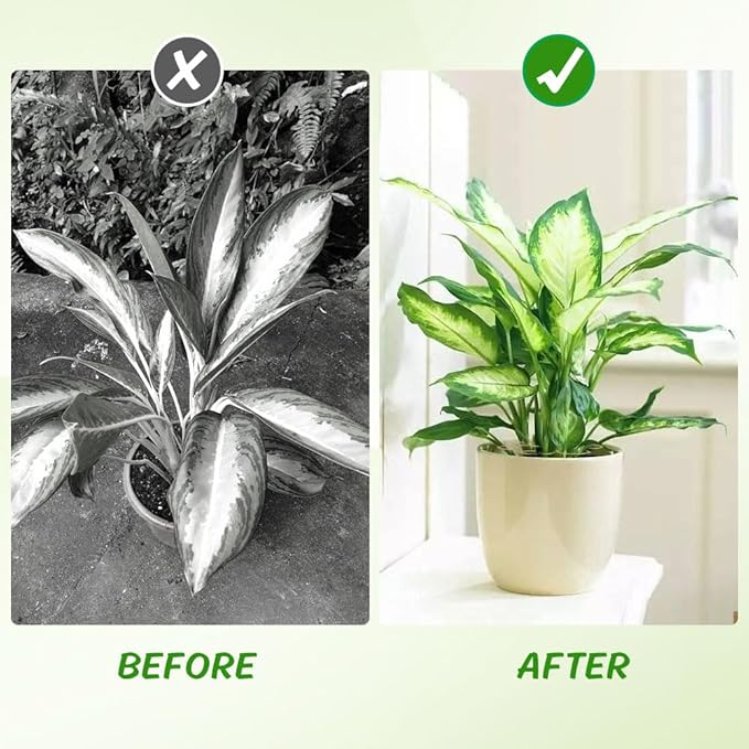 Iron Monstera Support, 3 PCS Plant Stem Support Plant Support Stakes for Indoor Plants and Flowers Stable Plant Stakes and Supports Turtle Shell Bamboo Clamp Set for Thriving Growth
