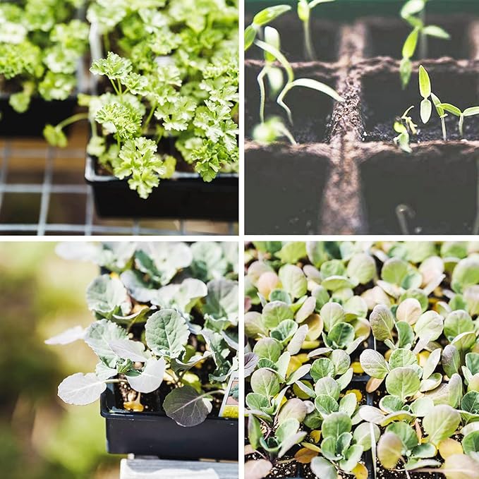 Seed Starter Kit with Peat Pots for Seedlings Seed Starter Tray, Including 100 Square Biodegradable Seed Starter Pods, 5 Plastic Growing Trays with Adjustable Dome& Spray Bottle