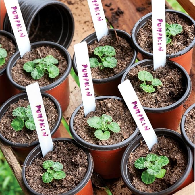 LWWTBS Plant Nursery Pot/Pots 100 Pcs 4" Plastic Small Plants Pots Flower Pots Seed Starting Pots for Plants Indoor Outdoor Seedling pots (with 100 Plant Labels)