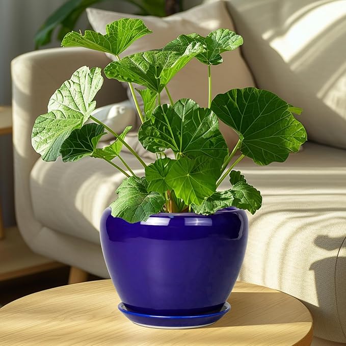 Ceramicfor Ceramic Plant Pot 8 Inch - Planter for Outdoor Plants Indoor Plant Pot with Drainage Hole and Saucer Decorative Round Planter Modern Flower Pot for House Decor Blue