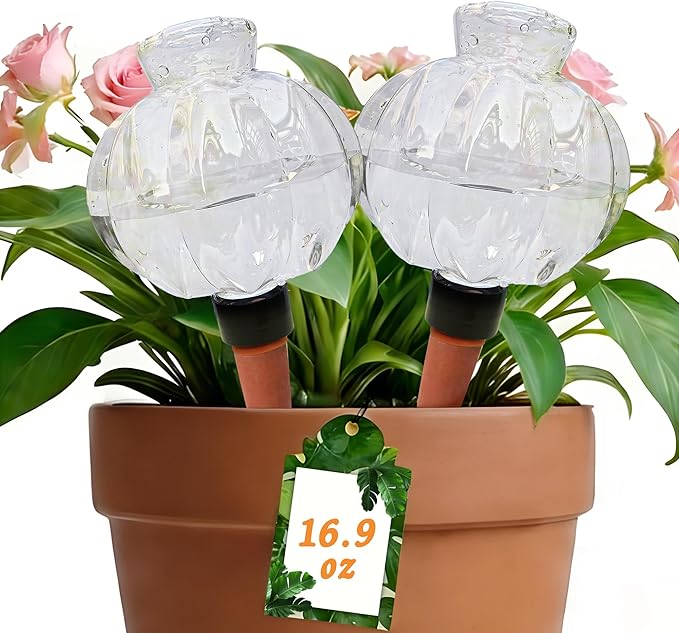Self Watering Spikes 2 Pack, 16.9oz Large Capacity Plant Watering Globes, Up to 2 Weeks Automatic Watering, Terracotta Irrigation Device for Indoor Plants (Lantern Design)