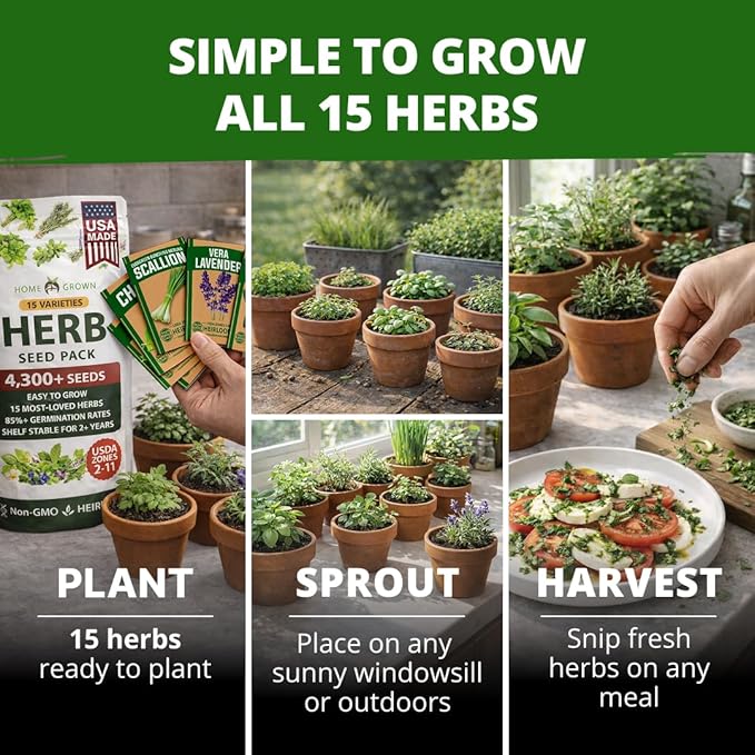 HOME GROWN Herb Seeds for Planting 15-Pack Massive Seed Count 4,300+ Seeds Non-GMO Heirloom | Extra Large | Culinary Herb Kit, Indoor Outdoor & Hydroponic | Grow Your Own Herbs | Gardening Gift