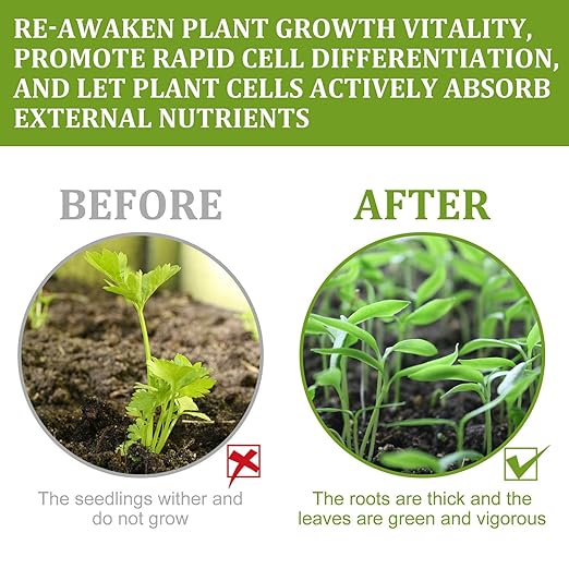 Plant Growth Enhancer Supplement - Rooting Hormone for Cutting Plant, Take Root Rooting Hormone Supplement for Transplant and Rescue The Disease Seedlings, Grow New Plants from Cutting (5pc)