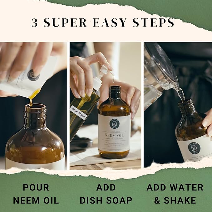 100% Cold Pressed Neem Oil Spray Refill for Indoor and Outdoor Garden Plants, Makes 80 fl oz | The Green Alcove…