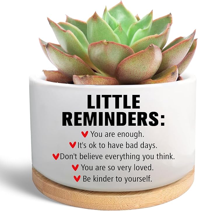 Office Desk Shelf Decor Inspirational Gifts for Coworker, Funny Succulent Plant Pot, Ceramic Flower Planter, Positive Gifts for Coworkers Employee Friends Office Accessorie(Plants Not Included)