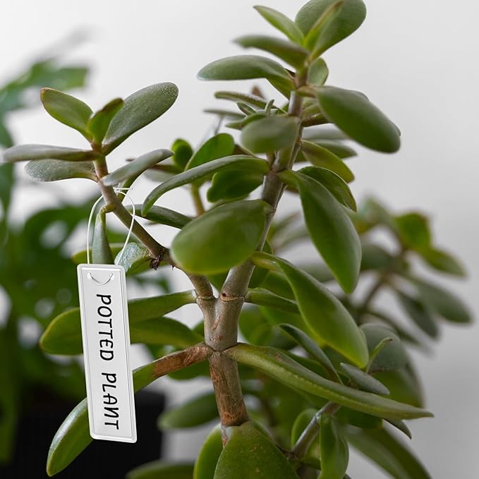 50 Pcs Metal Plant Tags, Aluminum Plant Labels with Metal Wire Double Sided Write Labels Hanging Plant Tags Waterproof Tags Metal Tags for Plant Markers Tree Tags Outdoor Garden Plant Mark