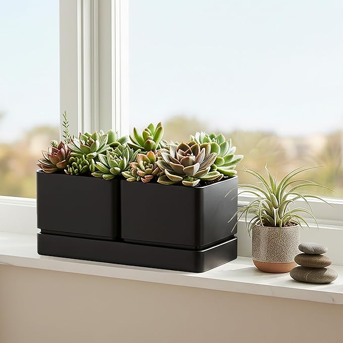 D'vine Dev Indoor Herb Garden Planter Set, Plastic Windowsill Plant Pots with Drainage and Saucer, Indoor Succulent Cactus Vegetable Pot for Balcony, Office, Garden, Black, Set of 1, 76-Q-B-1
