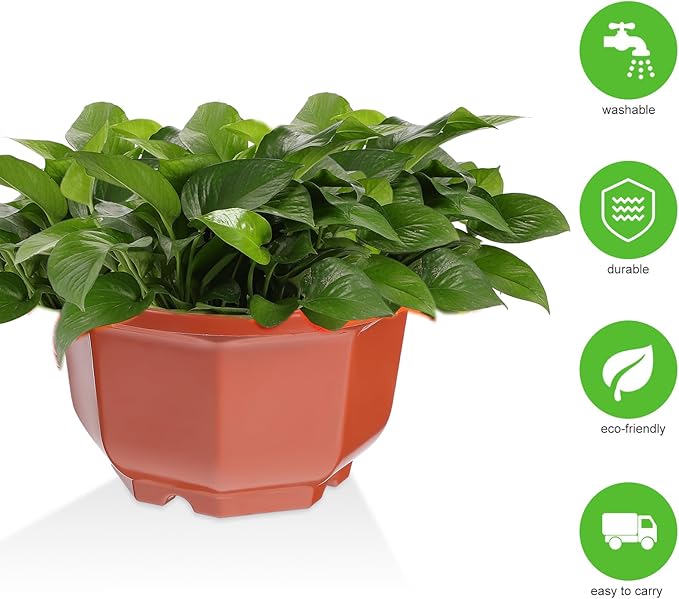 DOITOOL 10Pcs Plastic Hanging Planters, 6.29" Hanging Flower Pots Plant Basket Planter for Outdoor Indoor Plants Garden Balcony Decoration