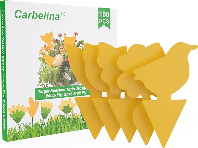 Fruit Fly Traps for Indoors Sticky, Gnat Traps for House Indoor Plants, Fungus Gnat Sticky Trap, 100pcs, Non-Toxic, Odorless, Harmless to Vegetables, Fruits, Plants