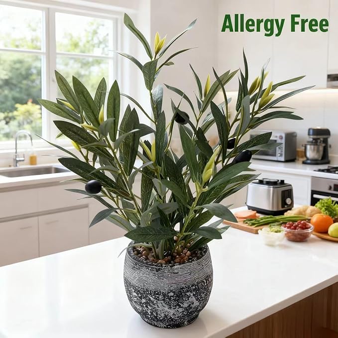 Indoor Faux Olive Plant 12 inch Artificial Silk Leaves in Elegant Planter Perfect Fake Olive Branches with Realistic Trunk and Lifelike Fruits Tabletop Greenery Decor for Home Office