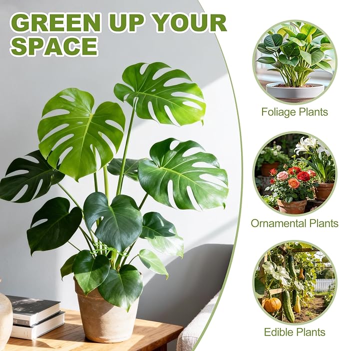 24PCS Plant Stem Support, 4-Size Stem Supports for Indoor Plants, Reusable Monstera Plant Support for Thriving Growth, Indoor Plants Accessories