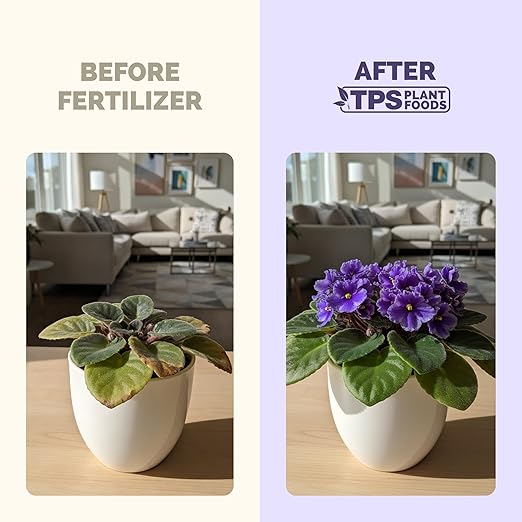 African Violet Fertilizer – Liquid Plant Food for More Blooms, Rich Green Leaves & Healthy Root Development, 1 Gallon