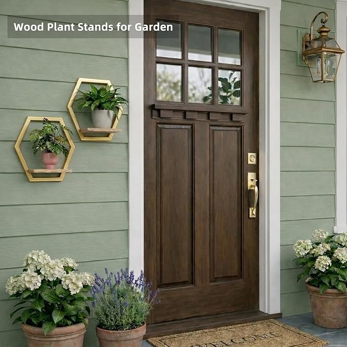 Modern Golden Hexagon Wall Planters with Solid Wood Shelves Set of 3 Geometric Floating Wall Decor for Indoor Plants, Stylish Wall Mounted Display for Succulents & Small Plants