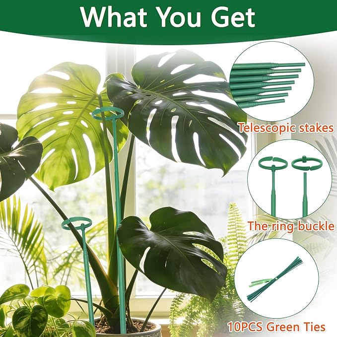 Telescoping Monstera Plant Support Stakes, 12.5IN to 48.4IN Adjustable Length, Extendable Plant Stakes for Indoor Plants, Premium Stainless Steel Material Plants Sticks for Orchids, Tomatoes- 5Pack