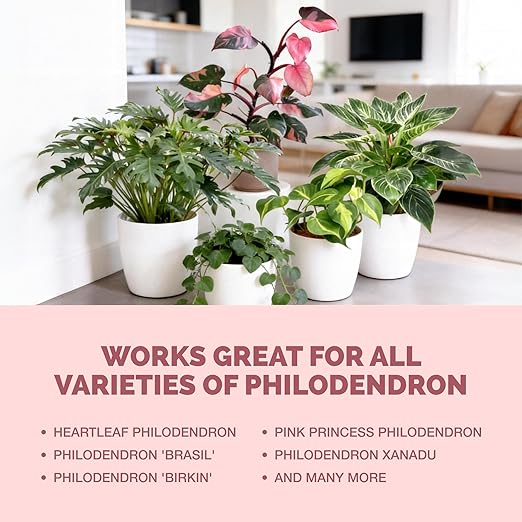 Philodendron Fertilizer – Liquid Plant Food for Bigger Leaves, Lush Foliage & Steady New Growth, 8 oz