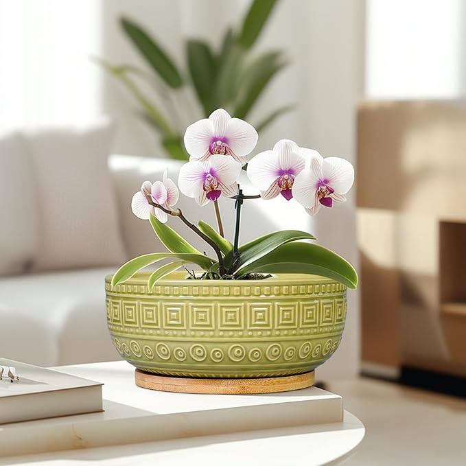 G EPGardening Bonsai Tree Pot - 8 Inch Ceramic Planter for Indoor Plants Flower, Shallow Round Succulent Bowl with Drainage and Saucer, Boho Office Decor, Gifts for Plant Lovers, Green
