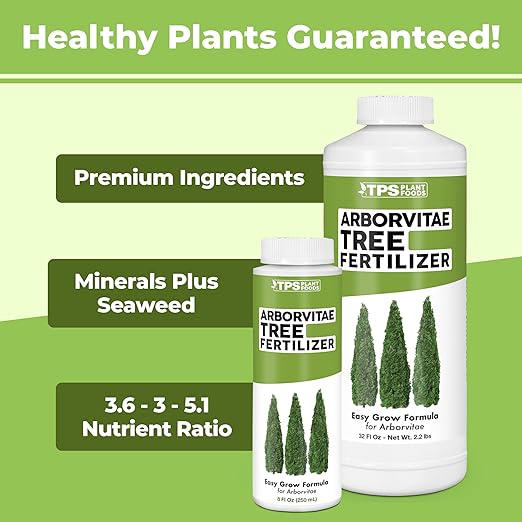 Arborvitae Tree Fertilizer – Liquid Plant Food for Fuller Green Foliage, Faster Growth & Stronger Root Development, 1 Gallon