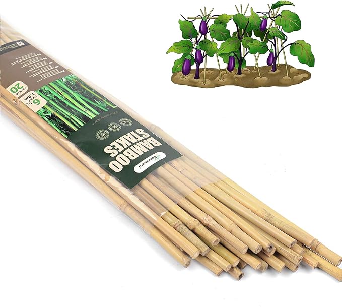 Cambaverd 6ft Bamboo Garden Stakes Eco-Friendly Plant Stakes 6 Feet, Bamboo Poles for Tomatoes Beans Climbing Plants Support - Pack of 20 Bamboo Stakes