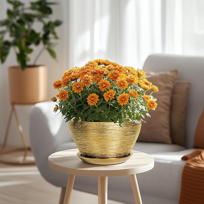 Ceramicfor Ceramic Plant Pot Indoor - 9 Inch Planters for Outdoor Plants Decorative Plant Pot with Drainage Hole and Saucer Round Planter Modern Flower Pot Decorative for House Decor Gold