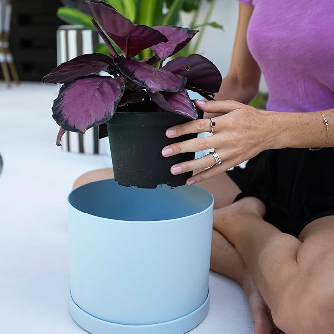 Bloem Mathers 8" Misty Blue Round Modern Resin Garden Planter Pot with Drainage Holes and Removable Saucer Tray Included