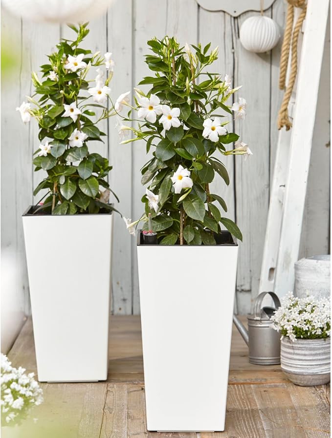Dehner Elise Plastic Planter with Self-Watering System, plastic, White, ca. 47 x 25 x 25 cm