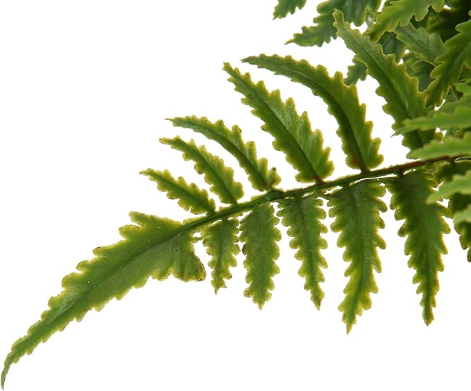Briful 2PCS Fake Plants Potted Artificial Plants Greenery Faux Fern Eucalyptus Décor Plant for Indoor Home Office Bathroom Harmhouse Decoration
