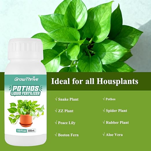 Organic Pothos Plant Food Liquid Fertilizer (10 oz) - Probiotic Nutrient Solution for Indoor Houseplants, Vibrant Leaves & Root Growth