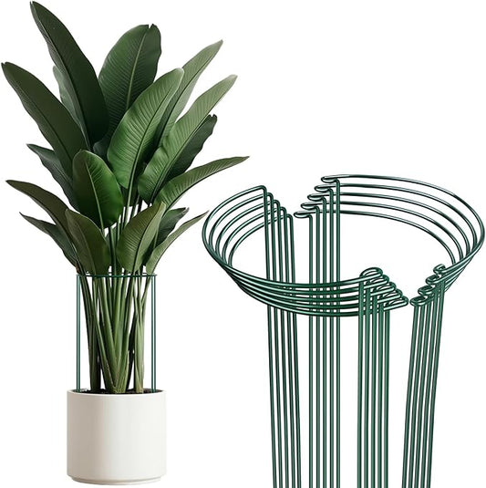 Thealyn 10 Pack Plant Support Stakes, 10" W x 24" H Metal Peony Cages and Supports, Rustproof Half Round Garden Plant Stakes for Indoor Outdoor Plants, Hydrangea, Rose, Tomato, Monstera