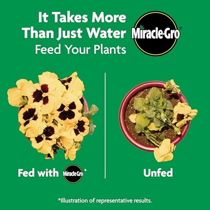 Miracle-Gro Shake 'n Feed Rose & Bloom Plant Food - Long-Lasting Granular Fertilizer for Flowering Plants, Feeds Up to 3 Months - 4.5 lbs.