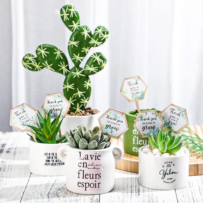 48 Pcs Thank You for Helping Me Grow Succulent Tags Teacher Appreciation Gifts Hexagon Wooden Plant Stakes Label Garden Marker Plant Sign for Teacher's Day Xmas Thanksgiving (Teacher Style)