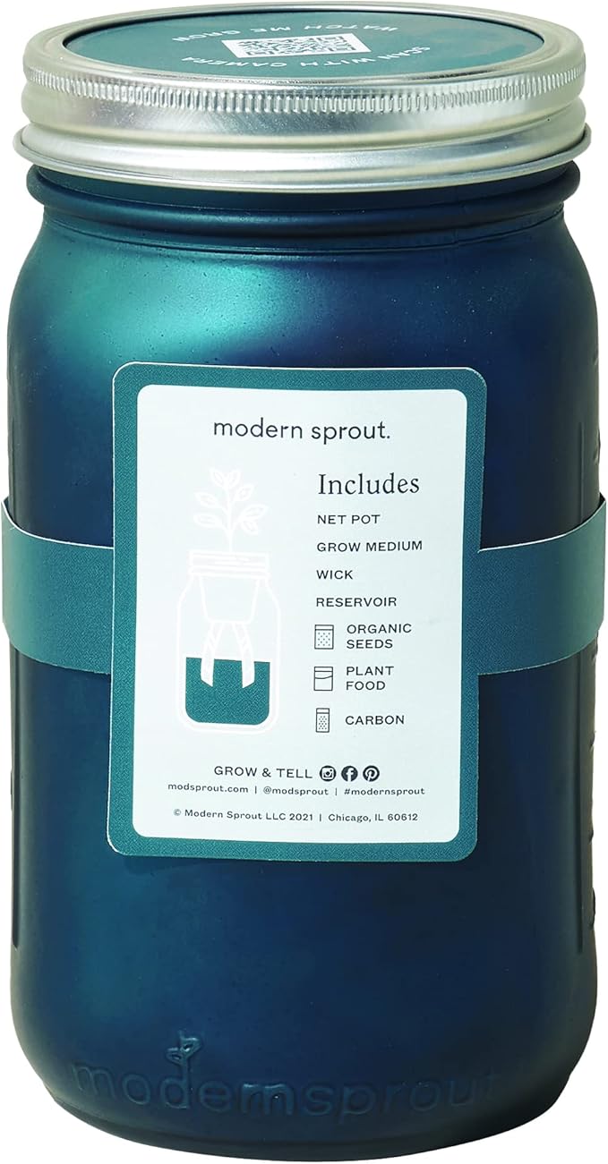 Modern Sprout Glass Jar Grow Set, Indoor Herb Garden, Seed Starter Set, Organic, Non-GMO, Basil