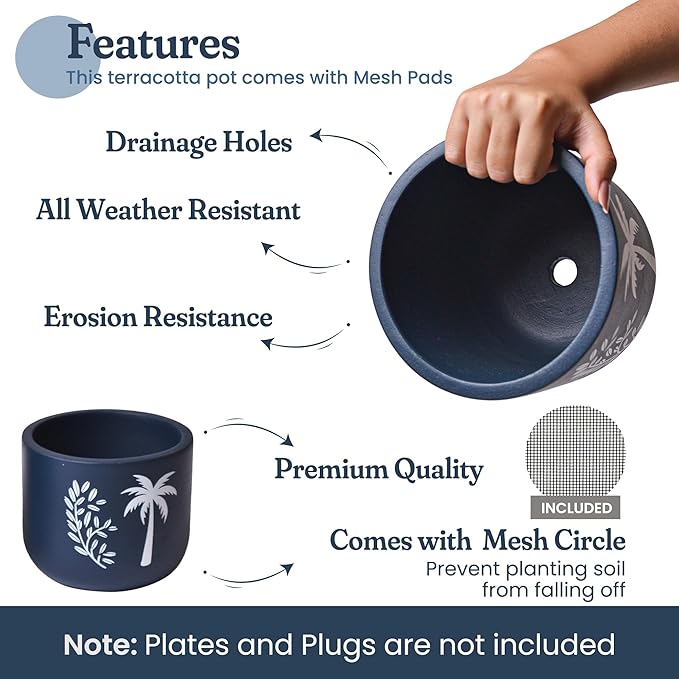 FINE Living 4 Inch & 6 Inch Terracotta Pots for Plants, Set of 2, Ceramic Planter Clay Pots Planter with Drainage Hole and Mesh Net for Gifts, Garden & Home Decor, Blue