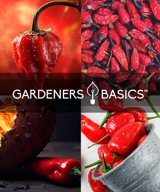 Ghost Pepper Hydroponic Growing Kit - Grow Your Own Bhut Jolokia Peppers - Non-GMO Heirloom Seeds, Complete Indoor Hydroponic Grow Kit, Hot Chili Gardening Gift for Spicy Lovers, Easy to Grow & Plant