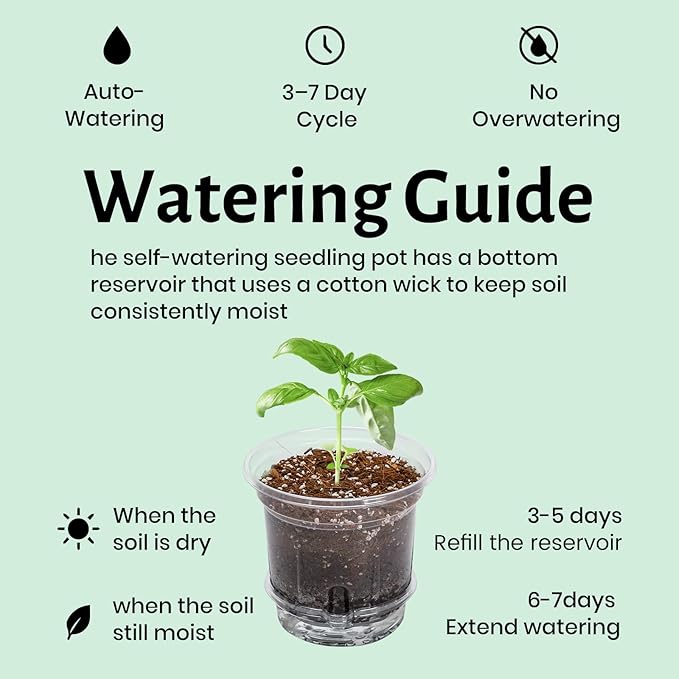 Bluepro 12 Pack 6.5 Inch Clear Self Watering Plant Pots with Bottom Water Tray & Watering Rope, Transparent Nursery Pots with Drainage for Seedlings, Herbs, and Houseplants