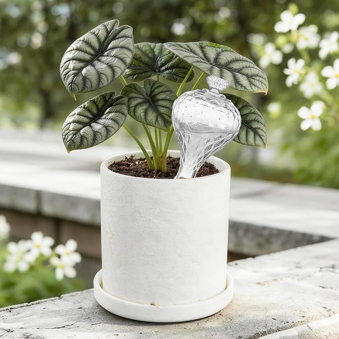12 oz Plant Watering Globes, Clear Glass Self Watering Bulbs Top Fill with Terracotta Spikes Stake, Self Watering Planter Insert Vacation Automatic Plant Waterer Device for Indoor & Outdoor