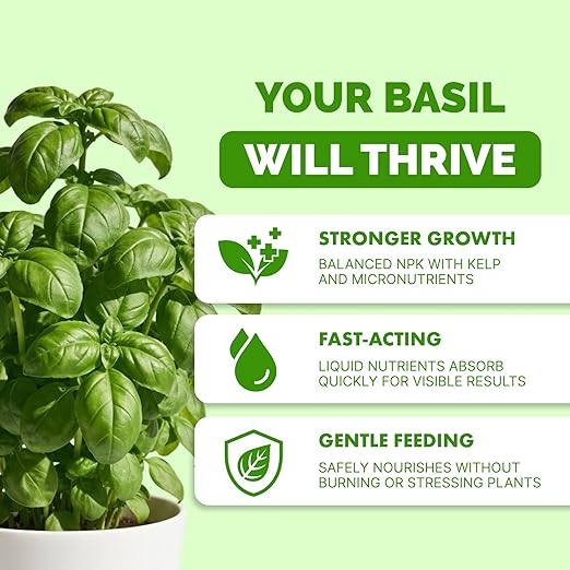 Basil Fertilizer – Liquid Plant Food for More Leaves, Fuller Plants & Fast Regrowth, 32 oz