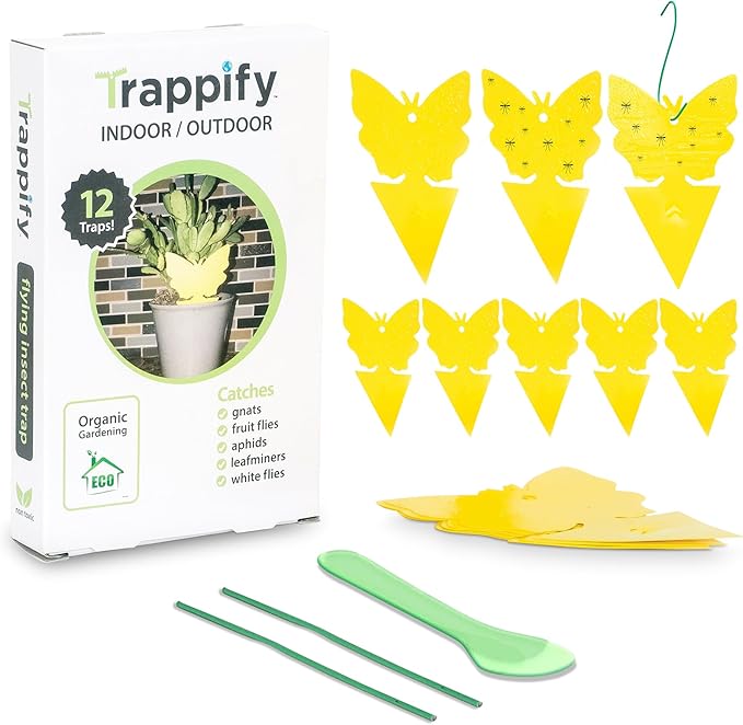 Trappify Sticky Gnat Traps for House Indoor - Yellow Fruit Fly Traps for Indoors | Outdoor Plants | Insect Catcher for White Flies, Mosquitos, Fungus Gnats | Disposable Glue Fly Trap Indoor (12 Pack)