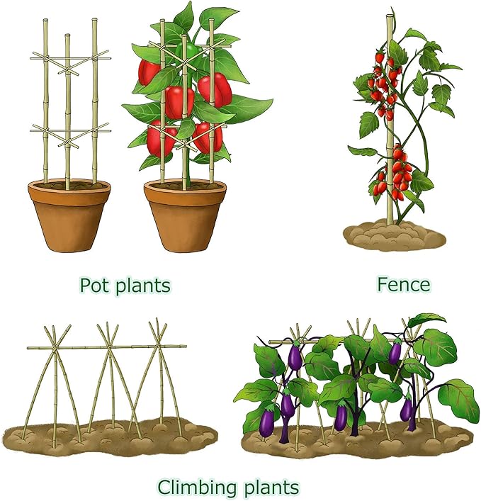 Cambaverd Bamboo Garden Stakes 3 Feet Plant Stakes for Roma Tomatoes Sunflowers Beans Potted and Climbing Plants - Pack of 25 Bamboo Sticks