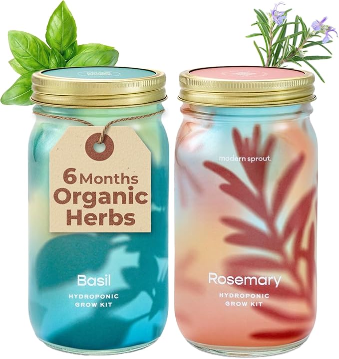 Modern Sprout Mason Garden Jar - Self-Watering Hydroponics Growing System Kit w/Organic Herb Seeds - Sprouting Jar Planter for Indoor Herb Garden - Seed Starter Kit - Decor & Gifting - Basil+Rosemary