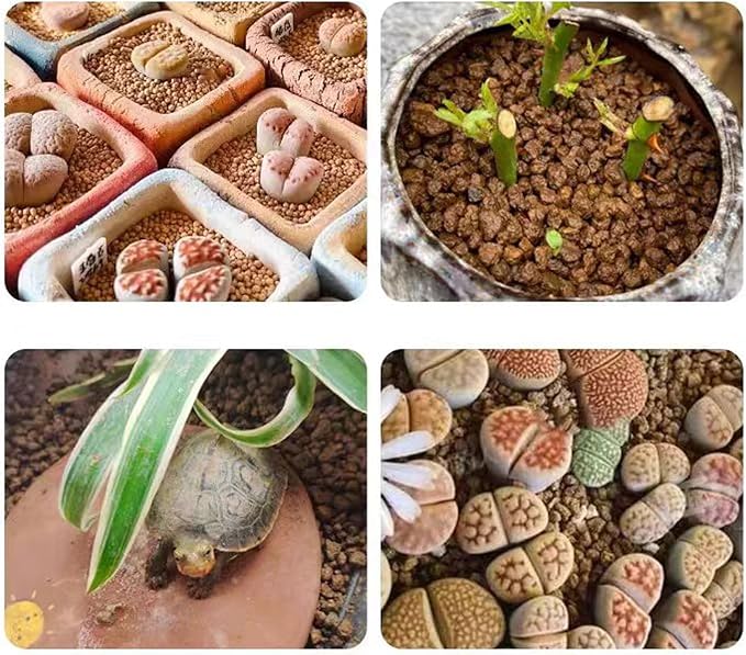Rurtsva Akadama Bonsai Soil 2lbs Horticultural Potting Soil Amendment Cacti Succulent Plant Soil, Prevent Over Water, Provides Optimal Water Retention, Fast Drainage, YFAK000