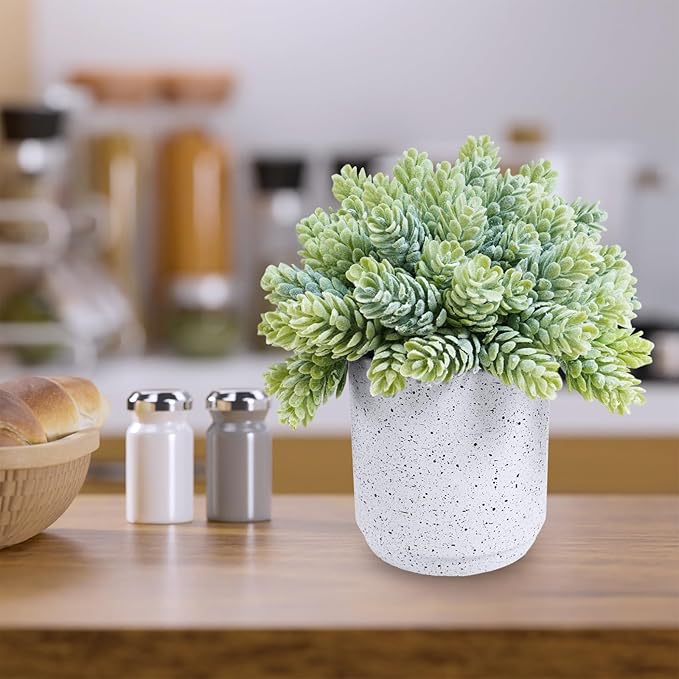 Winlyn Set of 3 Artificial Potted Succulent Plants in White Cement Planters Faux Aloe Hops String of Pearls Plants Small House Plants for Indoor Home Garden Office Desk Tabletop Shelf Decorations