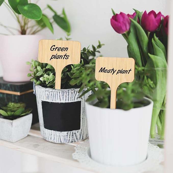 KINGLAKE 60 Pcs Bamboo Plant Labels, Garden Labels, Garden Plant Markers, T-Type Tags Nursery Labels, Wood Plant Labels, Waterproof Signs for Vegetable Plants with a Marker Pen