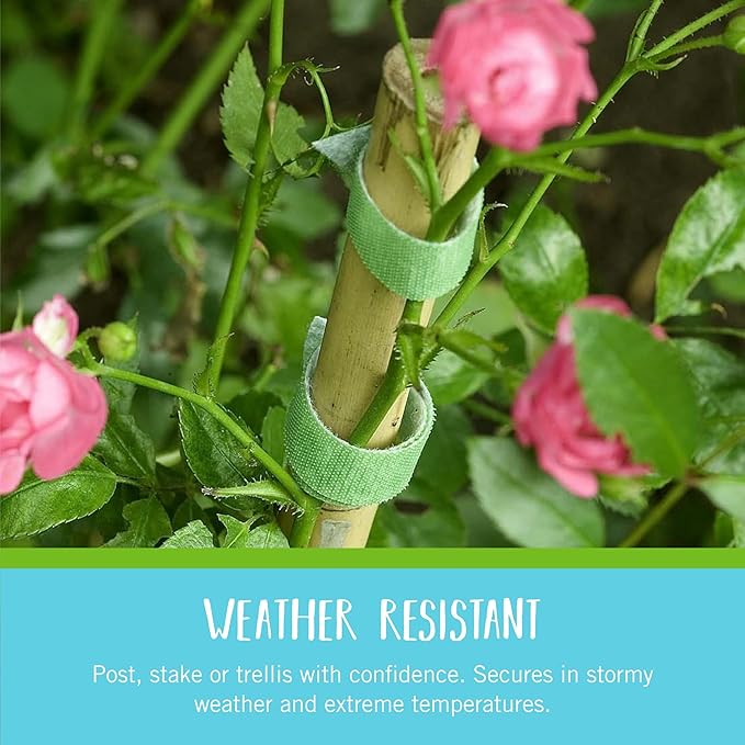 VELCRO Brand Adjustable Plant Ties | 75 ft x 1/2 in Green Garden Tape | Reusable, Cut-to-Length Hook & Loop Plant Support for Staking, Training & Organizing Tomatoes, Vines, and Flowers