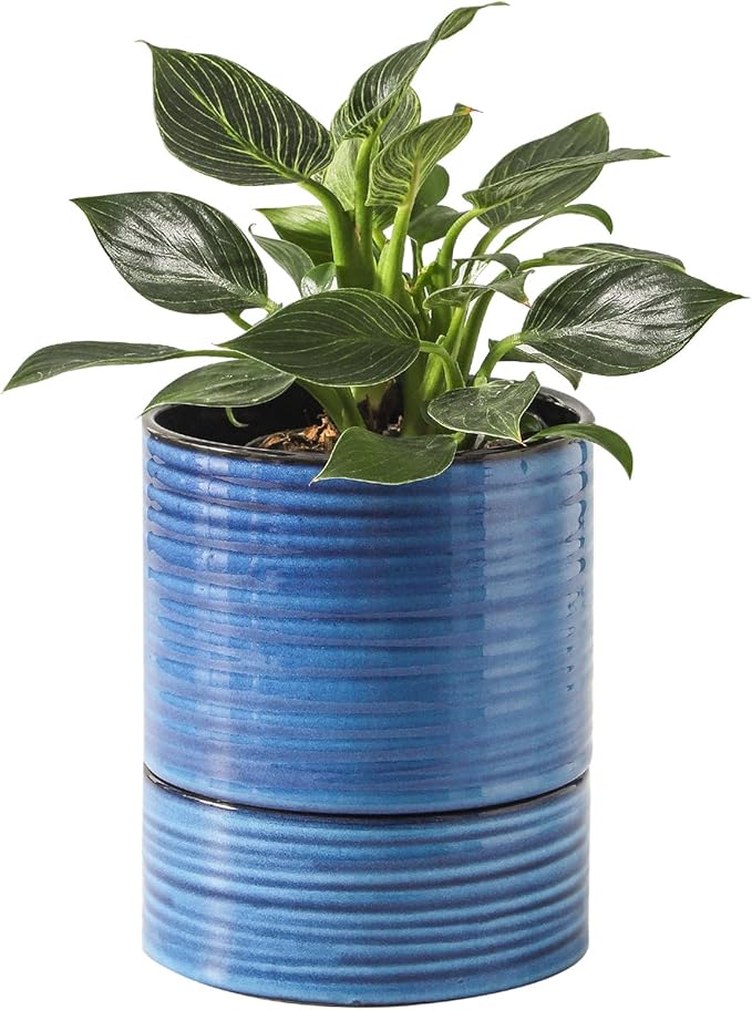 HASENSE Ceramic Plant Pot with Saucer, 6 Inch Planter for Indoor Plants with Drainage Hole,Snake Plants & Cactus, Navy Blue Flower Pot for Succulents,Modern Home Office Decor Gift